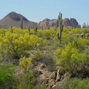 Meet your Posher, Bernice